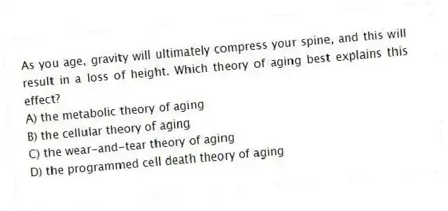 As you age, gravity will ultimately compress your spine, and this will result in a loss of height. Which theory of aging best explains this effect?
A) the metabolic theory of aging
B) the cellular theory of aging
C) the wear-and-tear theory of aging
D) the programmed cell death theory of aging