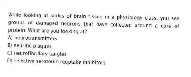 While looking at slides of brain tissue in a physiology class, you see groups of damaged neurons that have collected around a core of protein. What are you looking at?
A) neurotransmitters
B) neuritic plaques
C) neurofibrillary tangles
D) selective serotonin reuptake inhibitors
