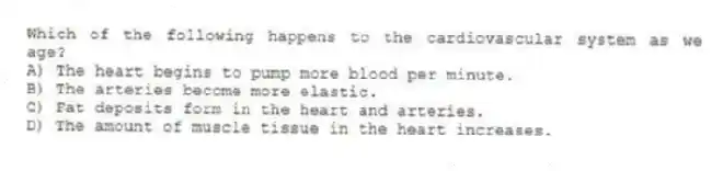 Which of the following happens to the cardiovascular system as we age?
A) The heart begins to pump more blood per minute.
B) The arteries become more elastic.
C) Fat deposits form in the heart and arteries.
D) The amount of muscle tissue in the heart increases.