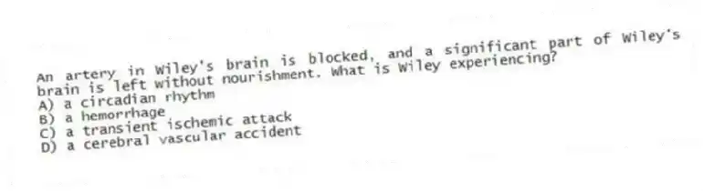 An artery in Wiley's brain is blocked, and a significant part of Wiley's brain is left without nourishment. What is Wiley experiencing?
A) a circadian rhythm
B) a hemorrhage
C) a transient ischemic attack
D) a cerebral vascular accident