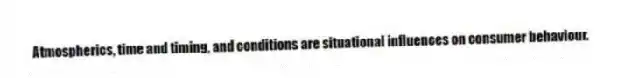 Atmospherics, time and timing, and conditions are situational influences on consumer behaviour.