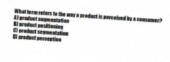 What term refers to the way a product is perceived by a consumer?
A) product augmentation
B) product positioning
C) product segmentation
D) product perception