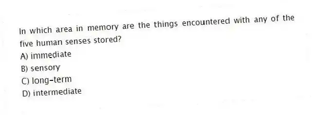 In which area in memory are the things encountered with any of the five human senses stored?
A) immediate
B) sensory
C) long-term
D) intermediate