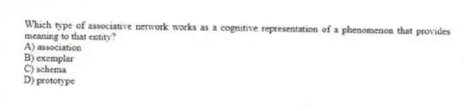 Which type of associative network works as a cognitive representation of a phenomenon that provides meaning to that entity?
A) association
B) exemplar
C) schema
D) prototype