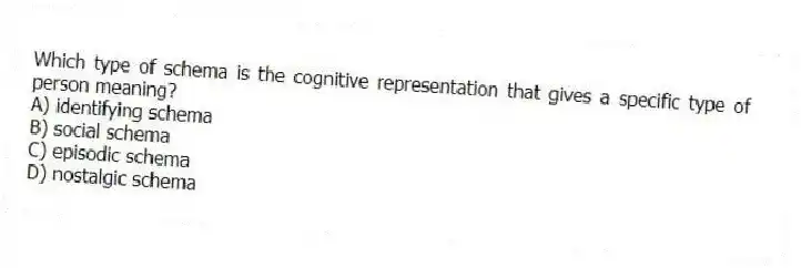 Which type of schema is the cognitive representation that gives a specific type of person meaning?
A) identifying schema
B) social schema
C) episodic schema
D) nostalgic schema
