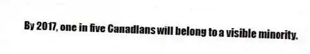 By 2017, one in five Canadians will belong to a visible minority.