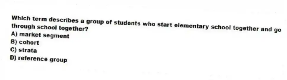 Which term describes a group of students who start elementary school together and go through school together?
A) market segment
B) cohort
C) strata
D) reference group