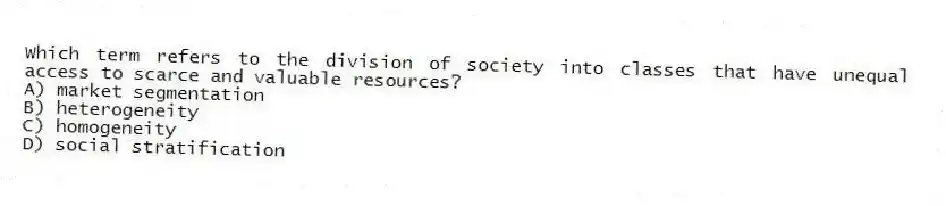 Which term refers to the division of society into classes that have unequal access to scarce and valuable resources?
A) market segmentation
B) heterogeneity
C) homogeneity
D) social stratification