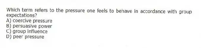 Which term refers to the pressure one feels to behave in accordance with group expectations?
A) coercive pressure
B) persuasive power
C) group influence
D) peer pressure