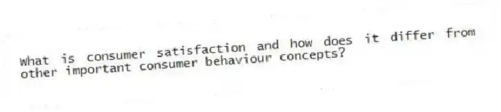 What is consumer satisfaction and how does it differ from other important consumer behaviour concepts?