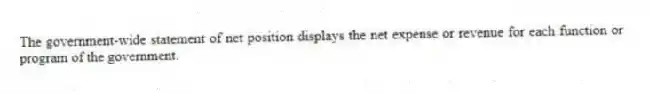 The government-wide statement of net position displays the net expense or revenue for each function or program of the government.