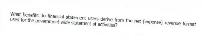 What benefits do financial statement users derive from the net (expense) revenue format used for the government-wide statement of activities?
