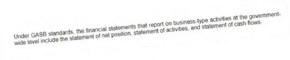 Under GASB standards, the financial statements that report on business-type activities at the government-wide level include the statement of net position, statement of activities, and statement of cash flows.