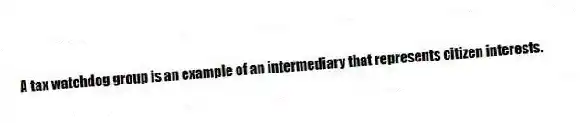 A tax watchdog group is an example of an intermediary that represents citizen interests.
