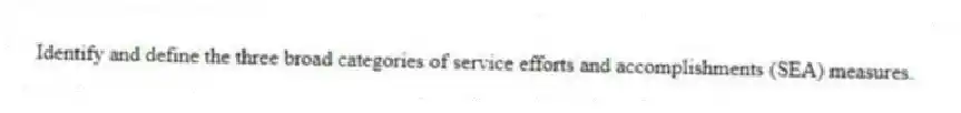 Identify and define the three broad categories of service efforts and accomplishments (SEA) measures.