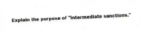 Explain the purpose of "intermediate sanctions."