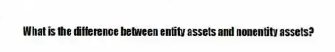 What is the difference between entity assets and nonentity assets?
