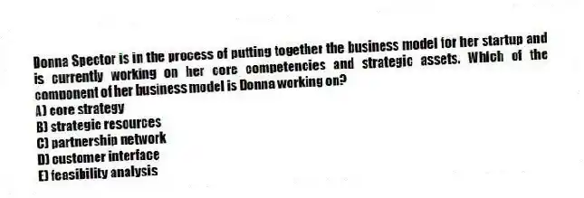 Donna Spector is in the process of putting together the business model for her startup and is currently working on her core competencies and strategic assets. Which of the component of her business model is Donna working on?
A) core strategy
B) strategic resources
C) partnership network
D) customer interface
E) feasibility analysis