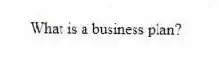 What is a business plan?