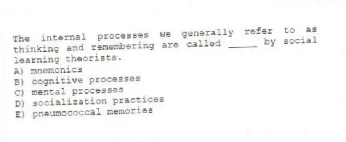 The internal processes we generally refer to as thinking and remembering are called _____ by social learning theorists.
A) mnemonics
B) cognitive processes
C) mental processes
D) socialization practices
E) pneumococcal memories