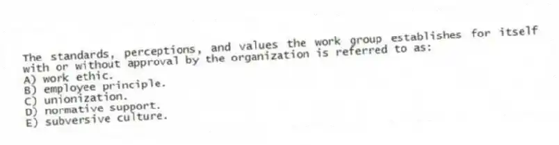 The standards, perceptions, and values the work group establishes for itself with or without approval by the organization is referred to as:
A) work ethic.
B) employee principle.
C) unionization.
D) normative support.
E) subversive culture.