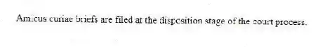 Amicus curiae briefs are filed at the disposition stage of the court process.