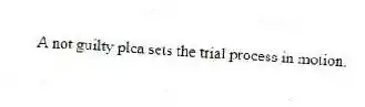 A not guilty plea sets the trial process in motion.
