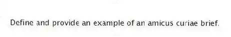 Define and provide an example of an amicus curiae brief.
