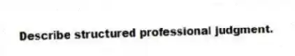 Describe structured professional judgment.