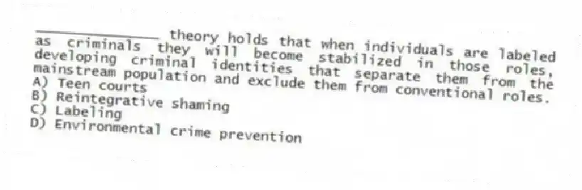_______________ theory holds that when individuals are labeled as criminals they will become stabilized in those roles, developing criminal identities that separate them from the mainstream population and exclude them from conventional roles.
A) Teen courts
B) Reintegrative shaming
C) Labeling
D) Environmental crime prevention