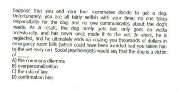 Suppose that you and your four roommates decide to get a dog. Unfortunately, you are all fairly selfish with your time; no one takes responsibility for the dog, and no one communicates about the dog's needs. As a result, the dog rarely gets fed, only goes on walks occasionally, and has never once made it to the vet. In short, he is neglected, and he ultimately ends up costing you thousands of dollars in emergency room bills (which could have been avoided had you taken him to the vet early on). Social psychologists would say that the dog is a victim of ____.
A) the commons dilemma
B) overpersonalization
C) the rule of law
D) confirmation bias