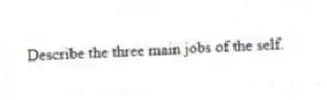 Describe the three main jobs of the self.