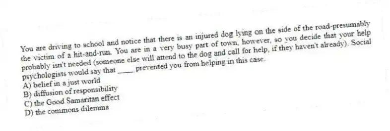 You are driving to school and notice that there is an injured dog lying on the side of the road-presumably the victim of a hit-and-run. You are in a very busy part of town, however, so you decide that your help probably isn't needed (someone else will attend to the dog and call for help, if they haven't already). Social psychologists would say that ____ prevented you from helping in this case.
A) belief in a just world
B) diffusion of responsibility
C) the Good Samaritan effect
D) the commons dilemma
