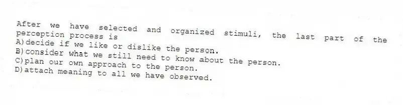 After we have selected and organized stimuli, the last part of the perception process is
A)decide if we like or dislike the person.
B)consider what we still need to know about the person.
C)plan our own approach to the person.
D)attach meaning to all we have observed.