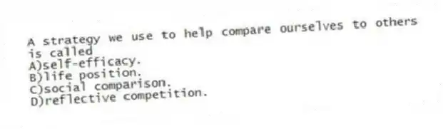 A strategy we use to help compare ourselves to others is called
A)self-efficacy.
B)life position.
C)social comparison.
D)reflective competition.