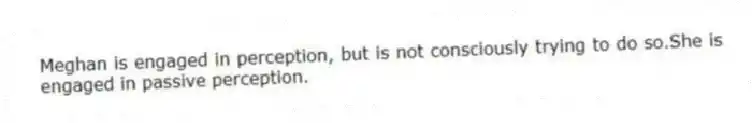 Meghan is engaged in perception, but is not consciously trying to do so.She is engaged in passive perception.
