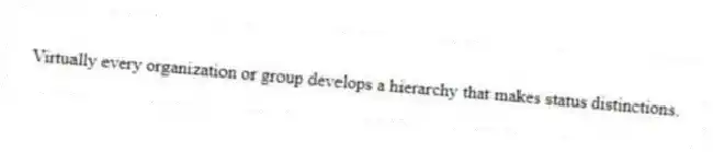 Virtually every organization or group develops a hierarchy that makes status distinctions.