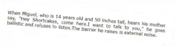 When Miguel, who is 14 years old and 50 inches tall, hears his mother say, "Hey Shortcakes, come here.I want to talk to you," he goes ballistic and refuses to listen.The barrier he raises is external noise.