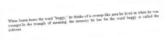 When Justin hears the word "buggy," he thinks of a swamp-like area he lived in when he was younger.In the triangle of meaning, the memory he has for the word buggy is called the referent.