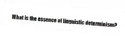 What is the essence of linguistic determinism?