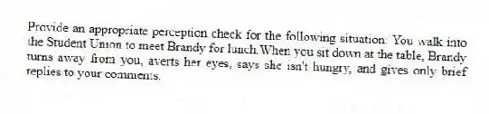 Provide an appropriate perception check for the following situation: You walk into the Student Union to meet Brandy for lunch.When you sit down at the table, Brandy turns away from you, averts her eyes, says she isn't hungry, and gives only brief replies to your comments.