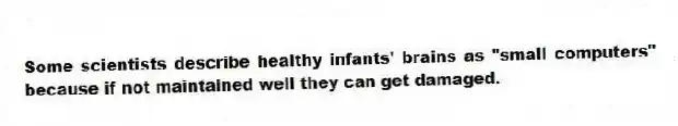 Some scientists describe healthy infants' brains as "small computers" because if not maintained well they can get damaged.