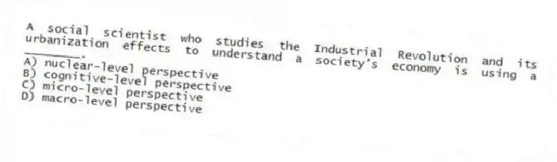 A social scientist who studies the Industrial Revolution and its urbanization effects to understand a society's economy is using a ________.
A) nuclear-level perspective
B) cognitive-level perspective
C) micro-level perspective
D) macro-level perspective