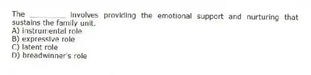 The ________ involves providing the emotional support and nurturing that sustains the family unit.
A) instrumental role
B) expressive role
C) latent role
D) breadwinner's role