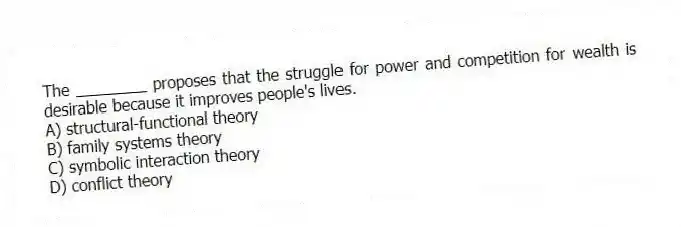 The ________ proposes that the struggle for power and competition for wealth is desirable because it improves people's lives.
A) structural-functional theory
B) family systems theory
C) symbolic interaction theory
D) conflict theory