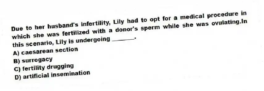 Due to her husband's infertility, Lily had to opt for a medical procedure in which she was fertilized with a donor's sperm while she was ovulating.In this scenario, Lily is undergoing ________.
A) caesarean section
B) surrogacy
C) fertility drugging
D) artificial insemination