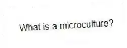 What is a microculture?