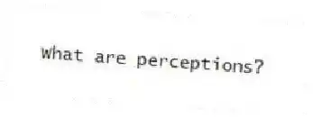 What are perceptions?