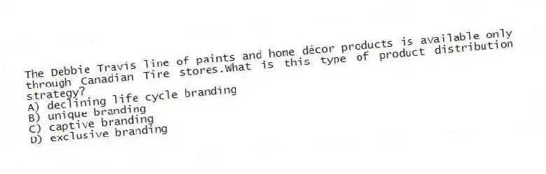 The Debbie Travis line of paints and home décor products is available only through Canadian Tire stores.What is this type of product distribution strategy?
A) declining life cycle branding
B) unique branding
C) captive branding
D) exclusive branding