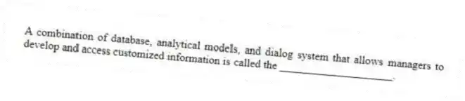A combination of database, analytical models, and dialog system that allows managers to develop and access customized information is called the ____________________.